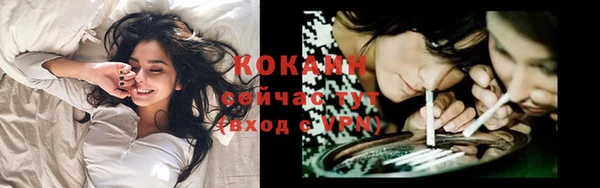 амф Магас
