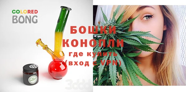 амф Магас